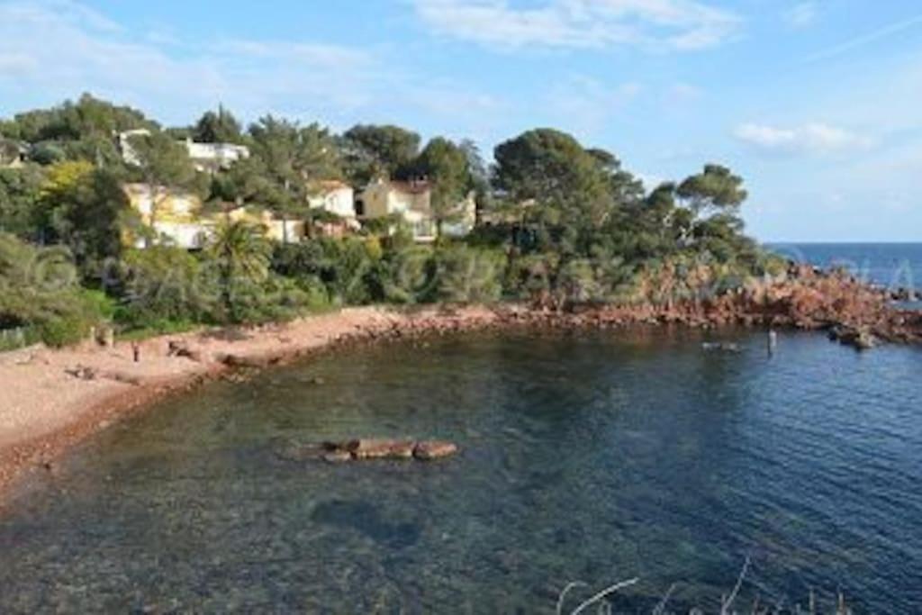Appartement L'Evasion, Vue Mer, Plages A Pied Frejus Exterior photo